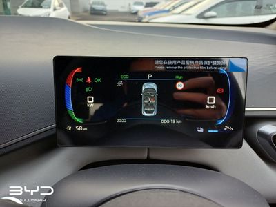 2026 BYD Dolphin Surf