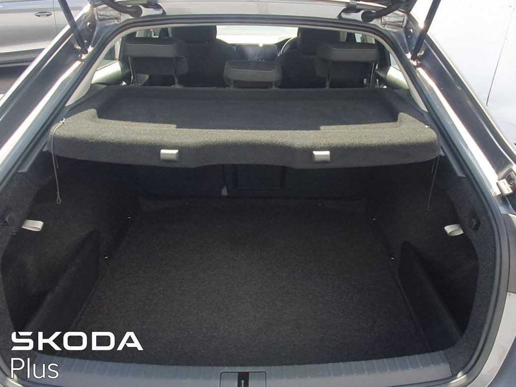 2023 Skoda Octavia