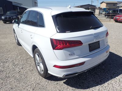 2019 Audi Q5