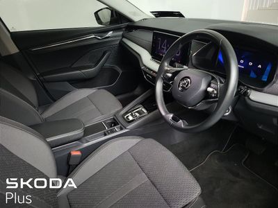 2023 Skoda Octavia