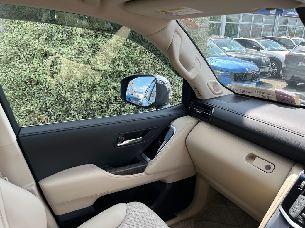2025 Toyota Land Cruiser Amazon