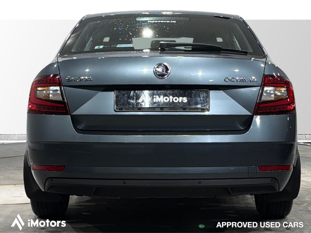 2019 Skoda Octavia