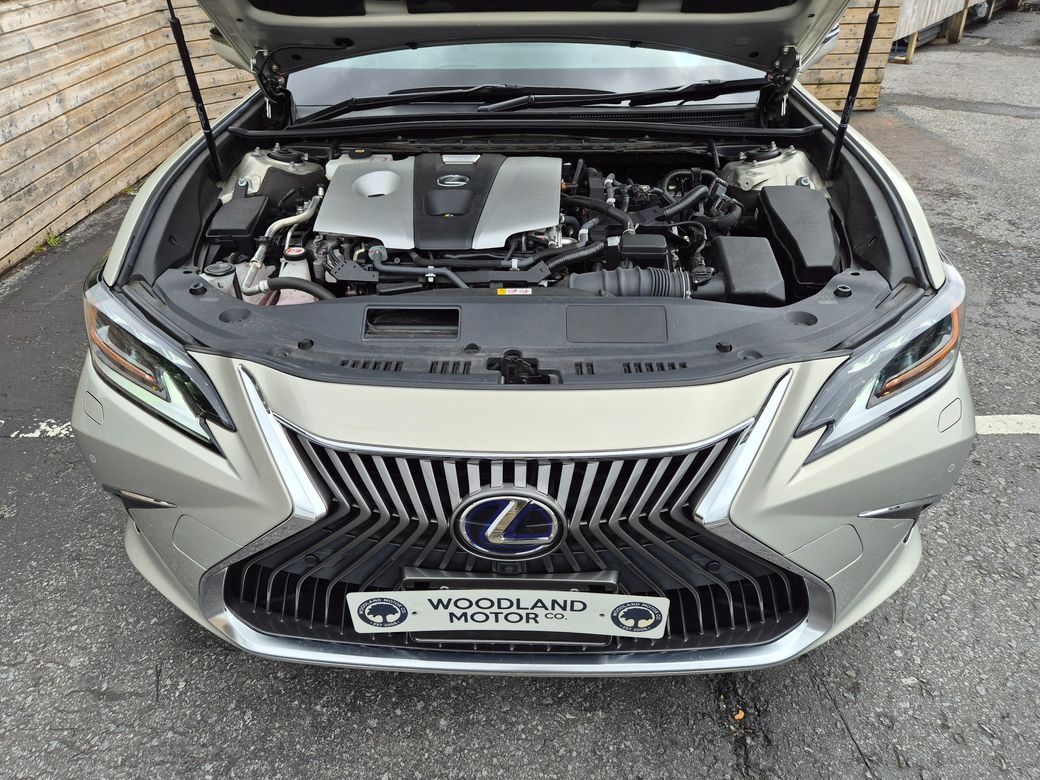 2021 Lexus ES 300h