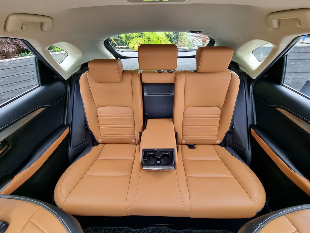 2020 Lexus NX