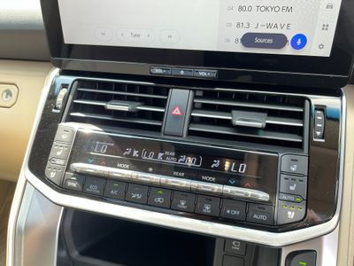 2025 Toyota Land Cruiser Amazon