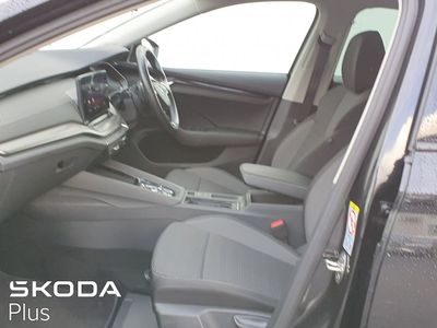 2023 Skoda Octavia