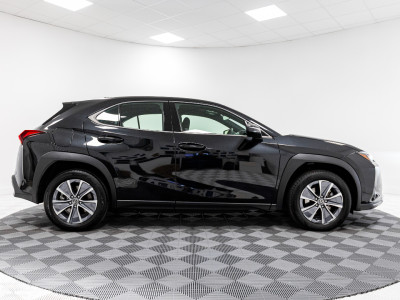 2025 Lexus UX 300e