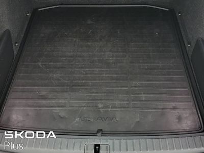 2023 Skoda Octavia