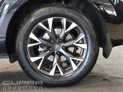 2026 Cupra Terramar