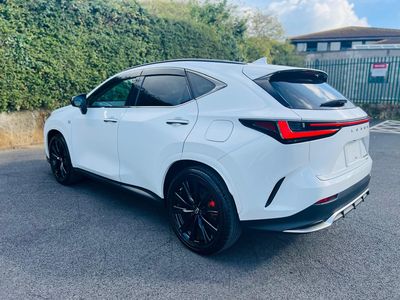 2023 Lexus NX