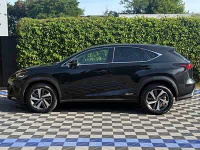 2020 Lexus NX 300h