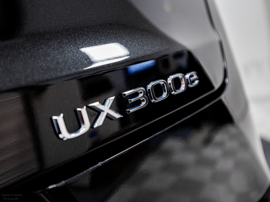2025 Lexus UX 300e