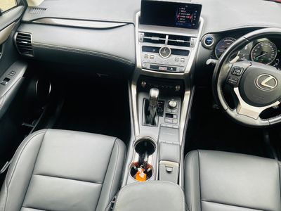 2019 Lexus NX 300h