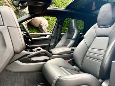 2024 Porsche Cayenne
