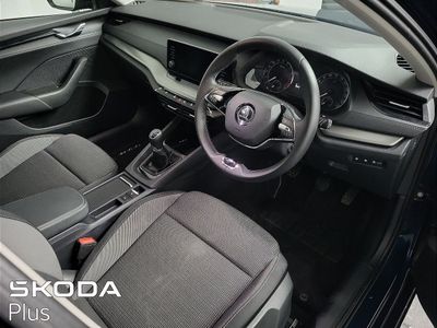 2023 Skoda Octavia