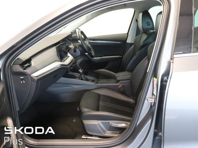 2023 Skoda Octavia