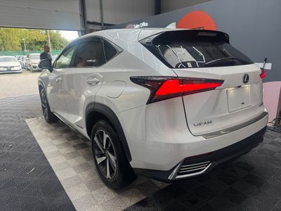 2019 Lexus NX 300h