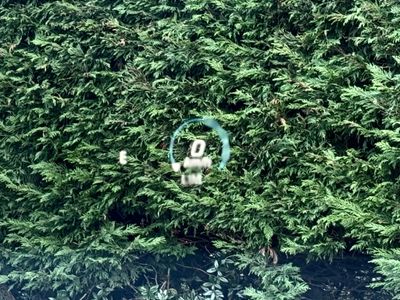 2023 Mercedes-Benz GLA Class