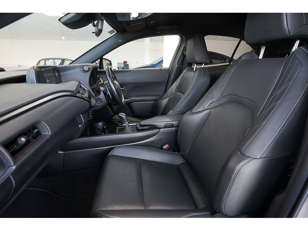 2021 Lexus UX 300e