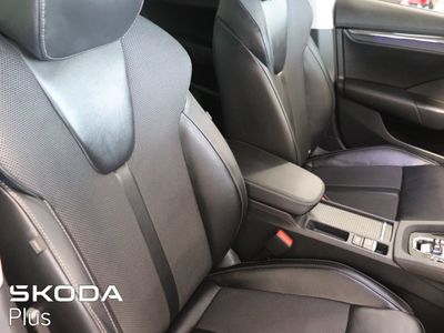 2023 Skoda Octavia