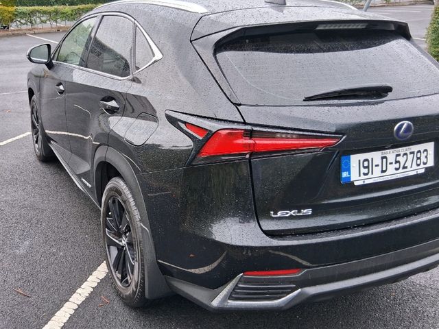 2019 Lexus NX