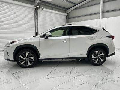 2020 Lexus NX