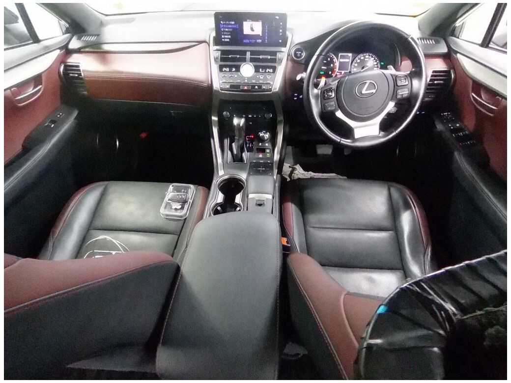 2020 Lexus NX