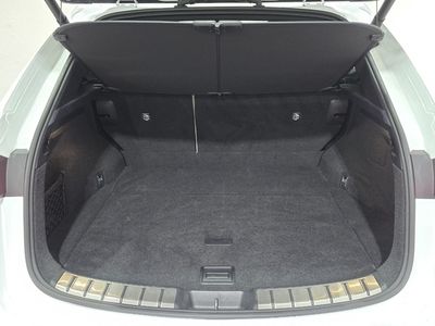 2024 Lexus NX 450H+
