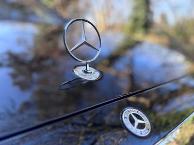 2025 Mercedes-Benz S Class