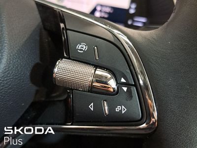 2023 Skoda Octavia
