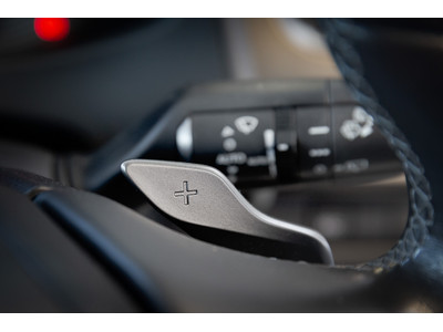 2021 Lexus UX 300e