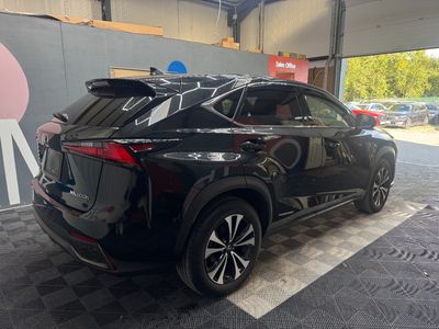 2020 Lexus NX 300h