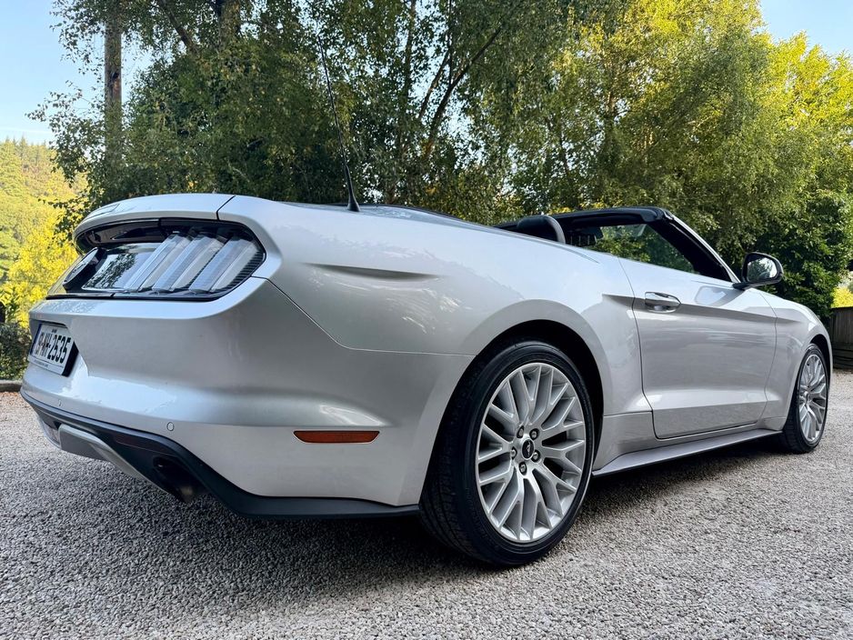 2019 Ford Mustang