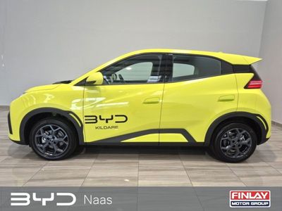 2026 BYD Dolphin Surf