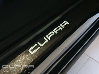 2026 Cupra Terramar