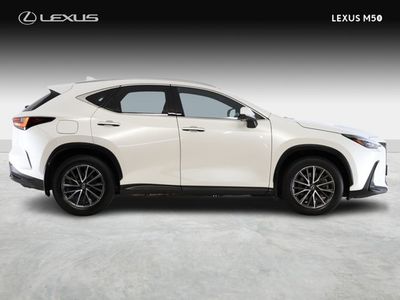 2024 Lexus NX 450H+