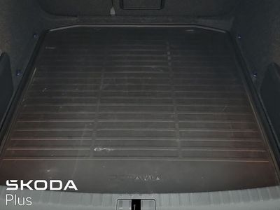 2023 Skoda Octavia
