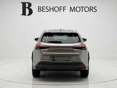 2026 Lexus UX 300e