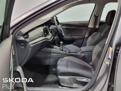 2024 Skoda Octavia