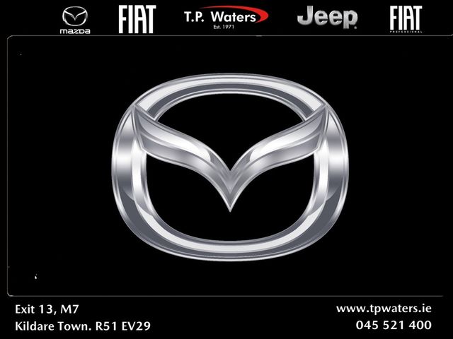 vehicle for sale from TP Waters