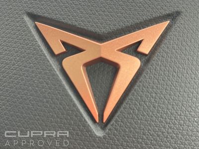 2026 Cupra Tavascan