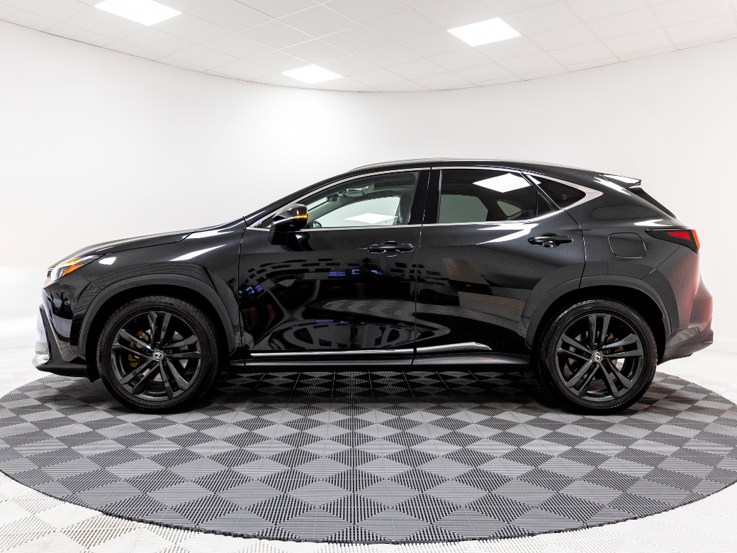 2024 Lexus NX 450H+