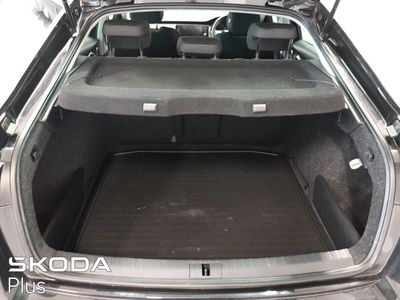 2022 Skoda Octavia