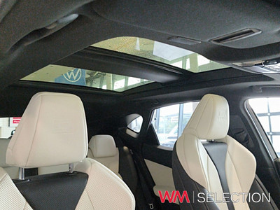 2025 Lexus NX