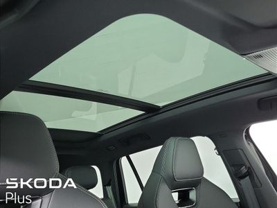 2026 Skoda Kodiaq