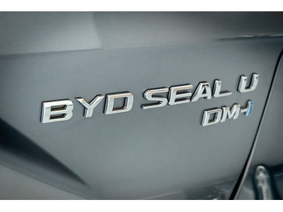 2025 BYD Seal U