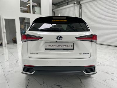 2020 Lexus NX