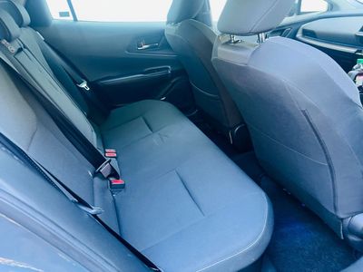 2023 Toyota Prius