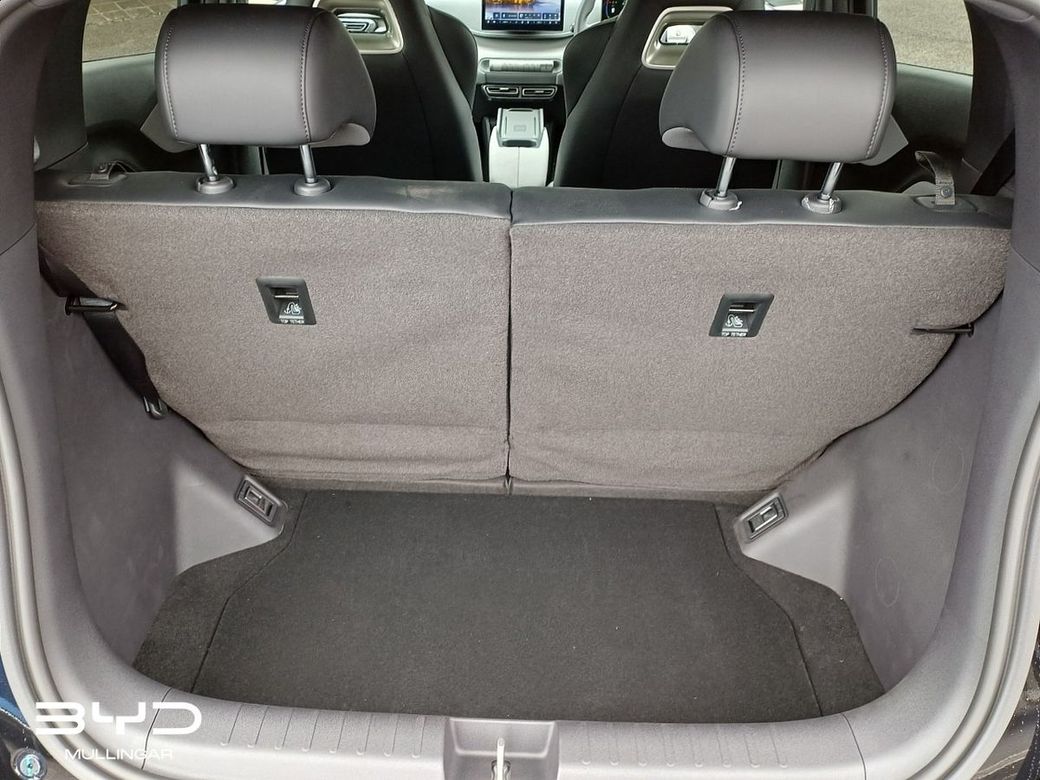 2026 BYD Dolphin Surf