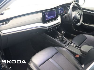 2023 Skoda Octavia